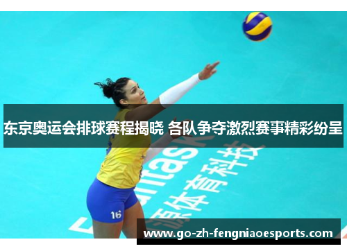 东京奥运会排球赛程揭晓 各队争夺激烈赛事精彩纷呈