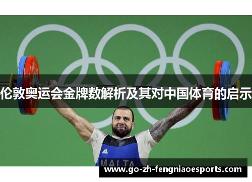 伦敦奥运会金牌数解析及其对中国体育的启示