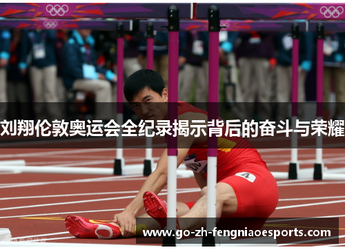 刘翔伦敦奥运会全纪录揭示背后的奋斗与荣耀
