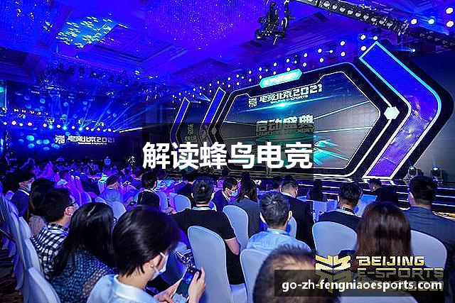 解读蜂鸟电竞